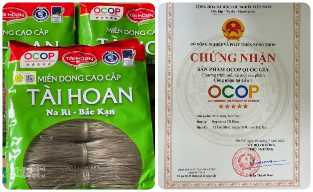 Thái Nguyên nâng cao giá trị nông sản từ các mô hình liên kết sản xuất – tiêu thụ