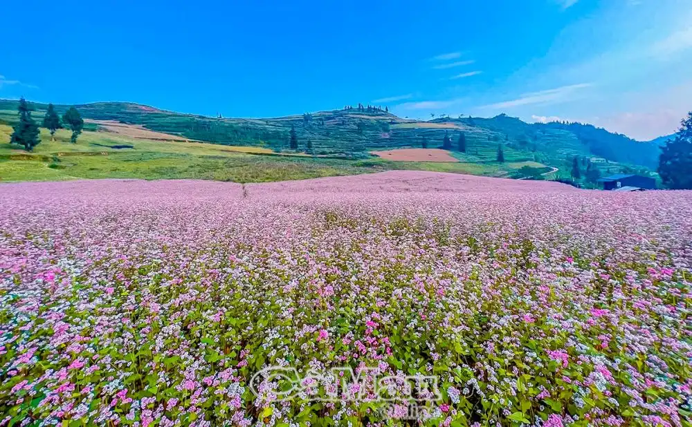 Việt Nam tiếp tục được tôn vinh là ‘Điểm đến Di sản hàng đầu thế giới’