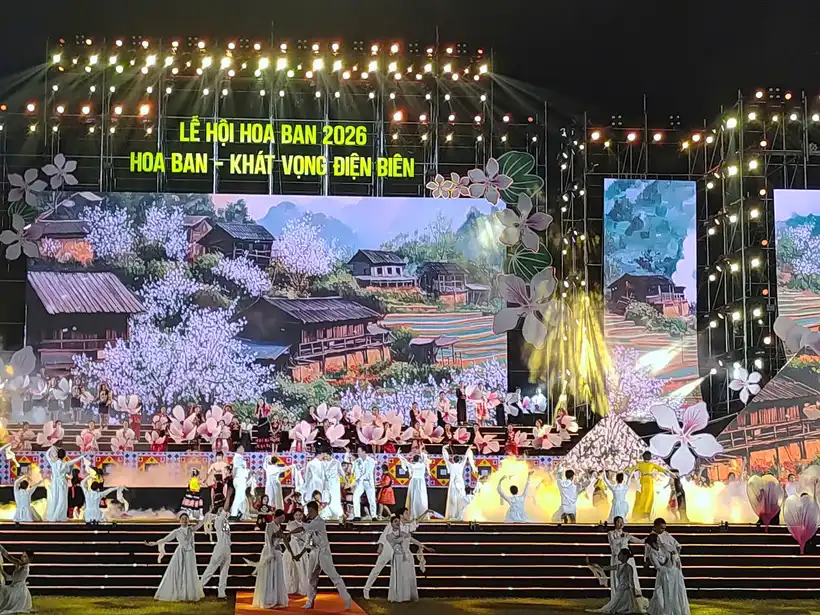 Chương trình Biểu diễn nghệ thuật.