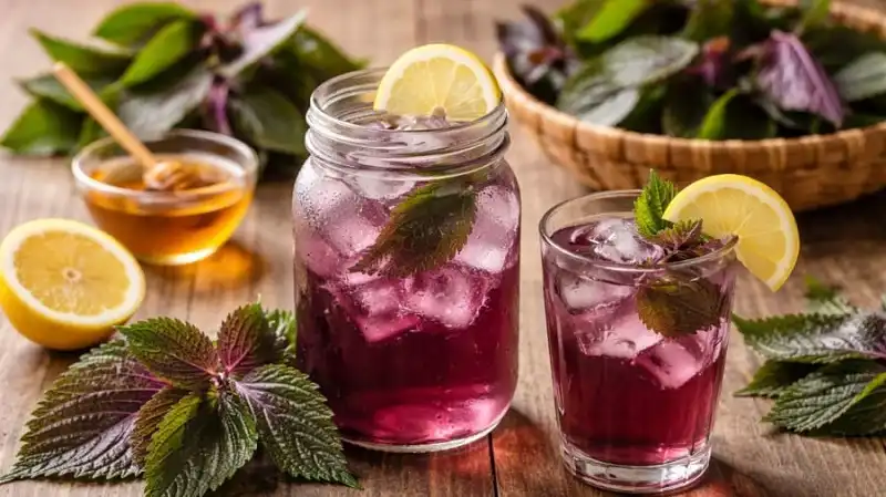 Top 10 loại đồ uống giải nhiệt những ngày hè nắng nóng